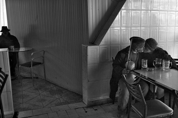 bodega
