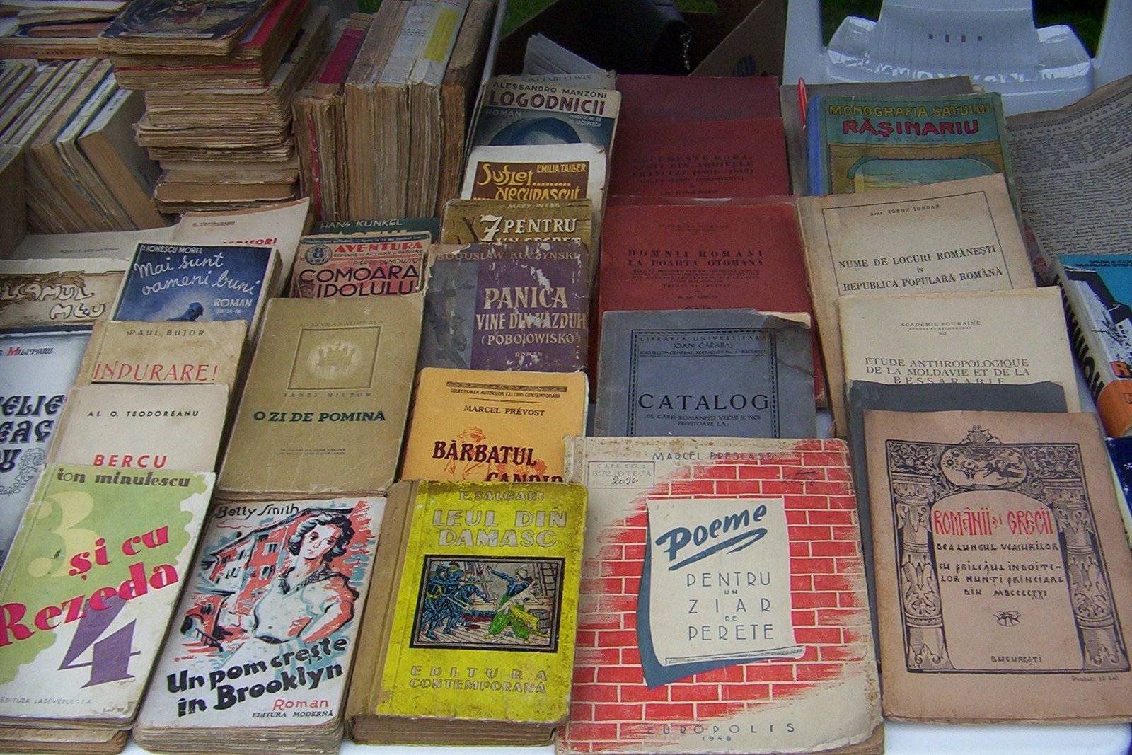 biblioteca