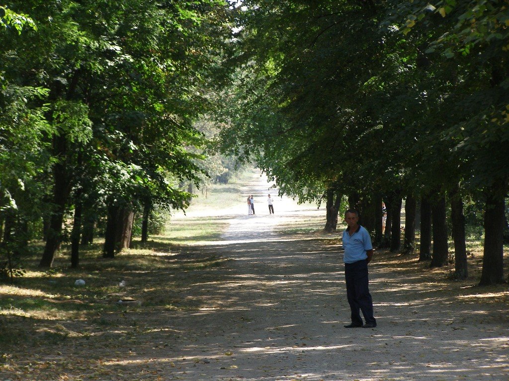 Palatul Mogosoaia gradina 1