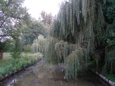 Parc Strand Pitesti