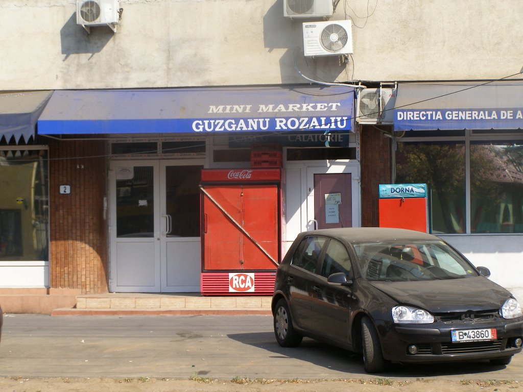 P9065348