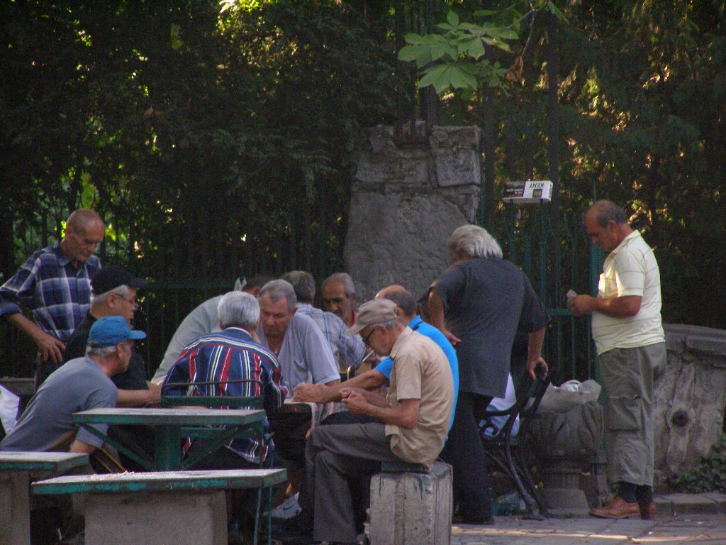 P9065386