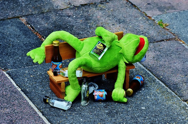 kermit 1651397 640