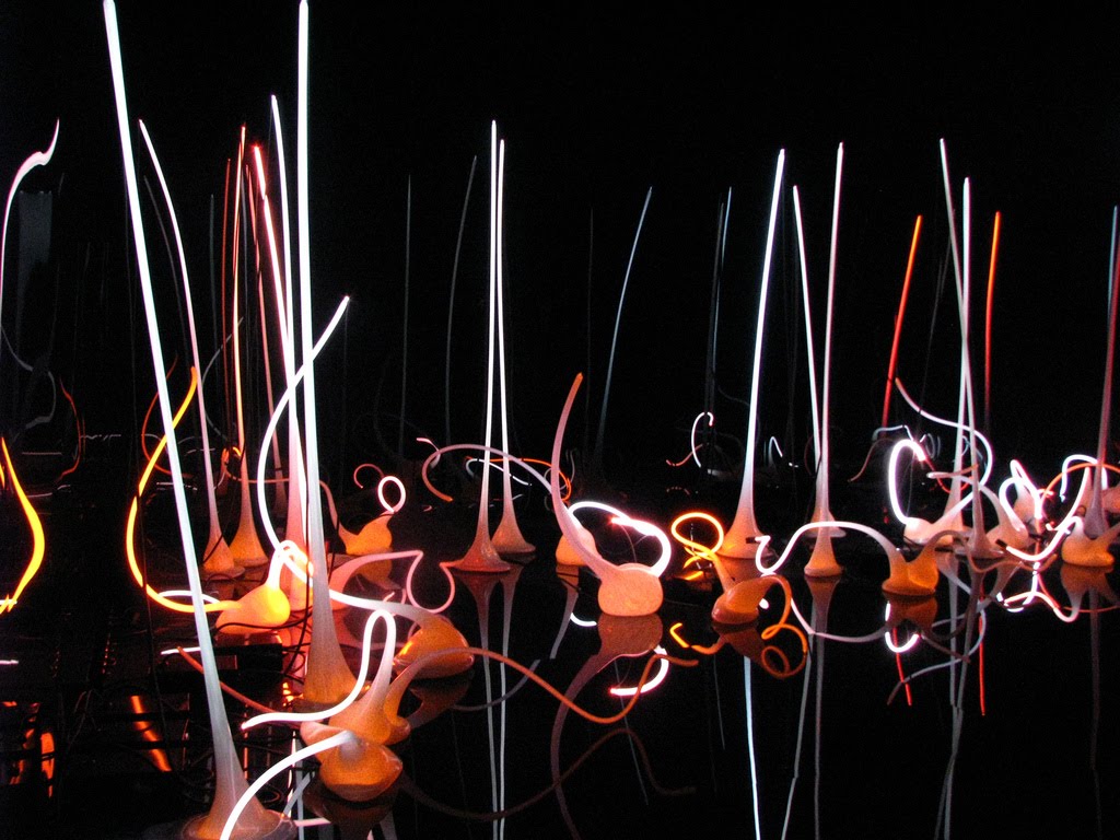 Dale Chihuly 23