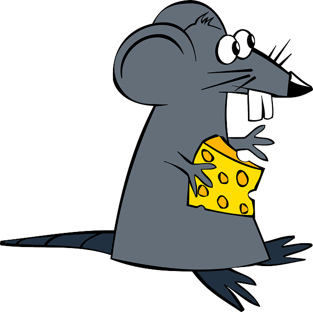 rat 152162 640