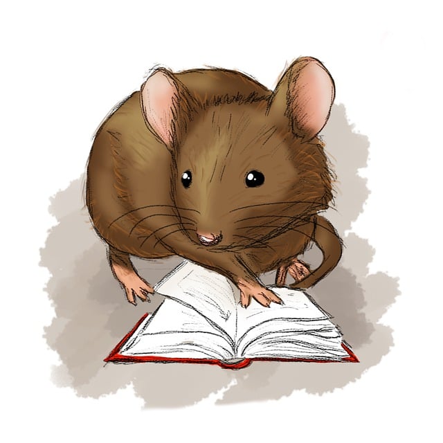 mouse 6278140 640