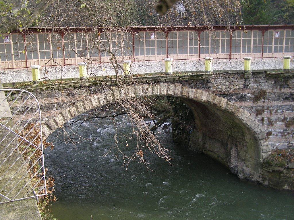 pod cerna